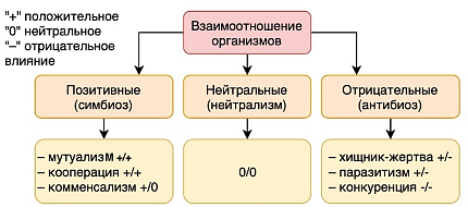 Разнообразие типов взаимоотношений между живыми организмами и их особенности