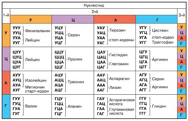 2 генетический код его свойства