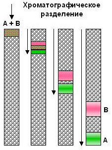 image_description