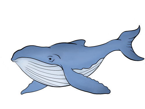 Картинки по запросу "киты рисунок""