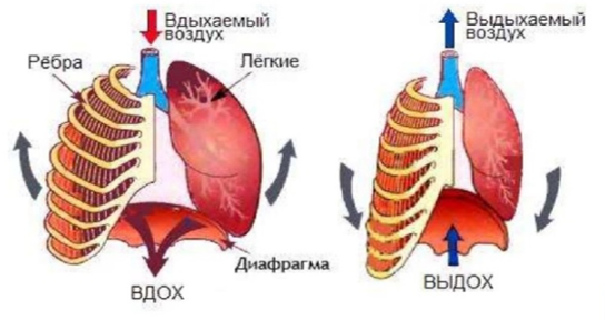 Специалисты отделения