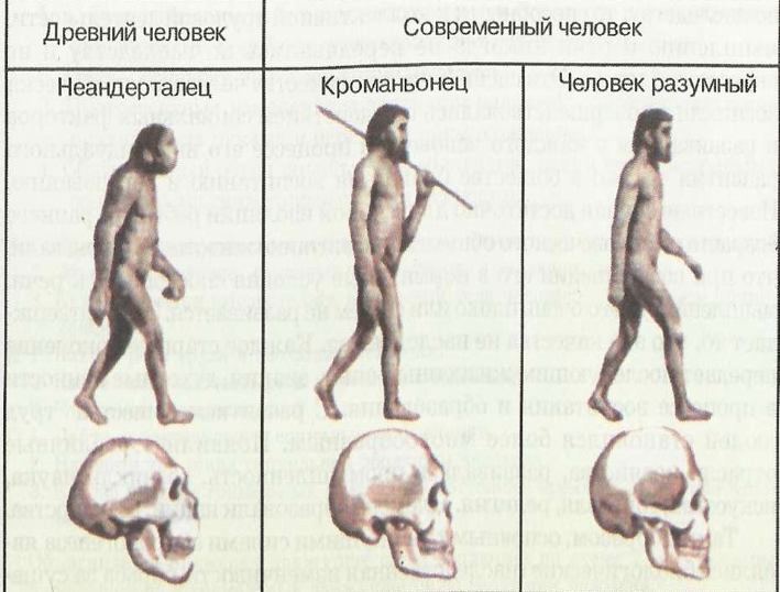 ГДЗ учебник по биологии 11 класс (Линия Жизни) Пасечник. §29. Подумайте. Номер №1