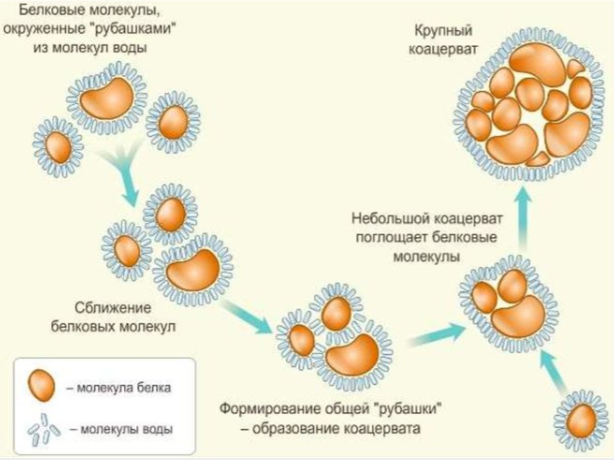 Ученые смогли объяснить, как зарождалась жизнь на Земле