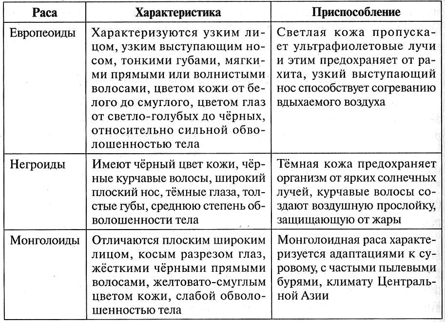 Понятие темперамента — биржевые-записки.рф