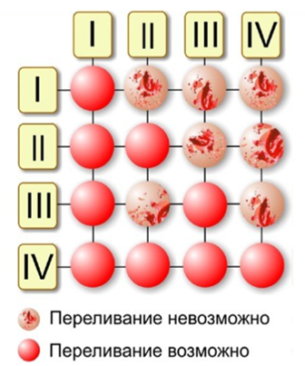 Группа крови и ее переливание. Группы крови и схема переливания крови. Схема переливания групп крови. Таблица по переливанию крови группа крови. Переливание крови по группам крови схема.