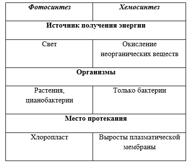 Тест фотосинтез хемосинтез