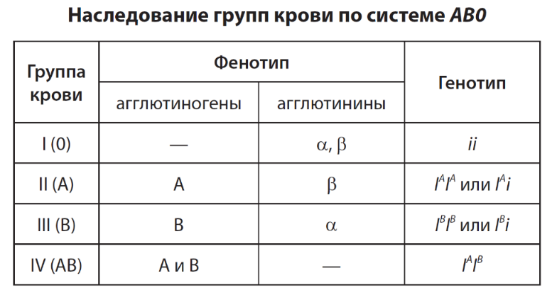 Генетические механизмы наследования rh