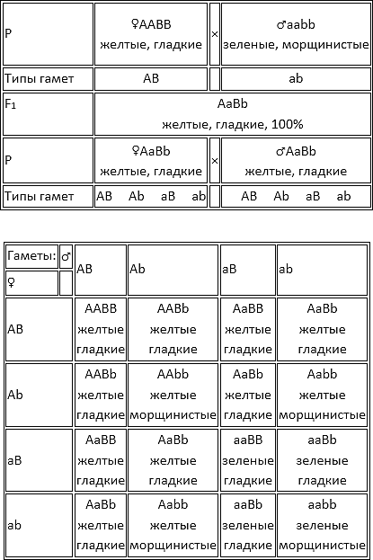 Законы Менделя - Google Docs