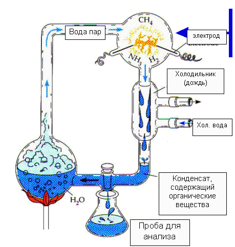 Тайна появления жизни на Земле - фотодетки.рф