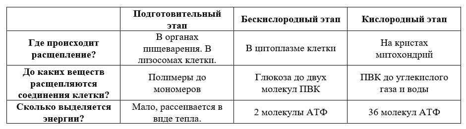 120.6. Содержание обучения в 10 классе