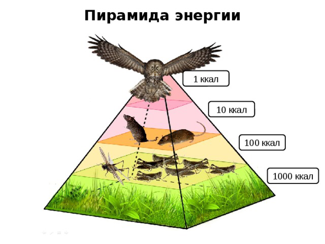 Причины неточности схемы линдемана