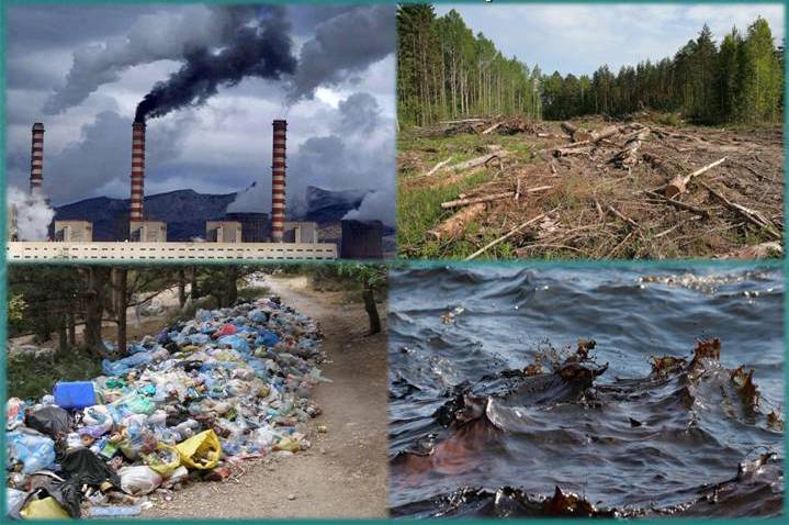 Картинки по запросу экологические проблемы
