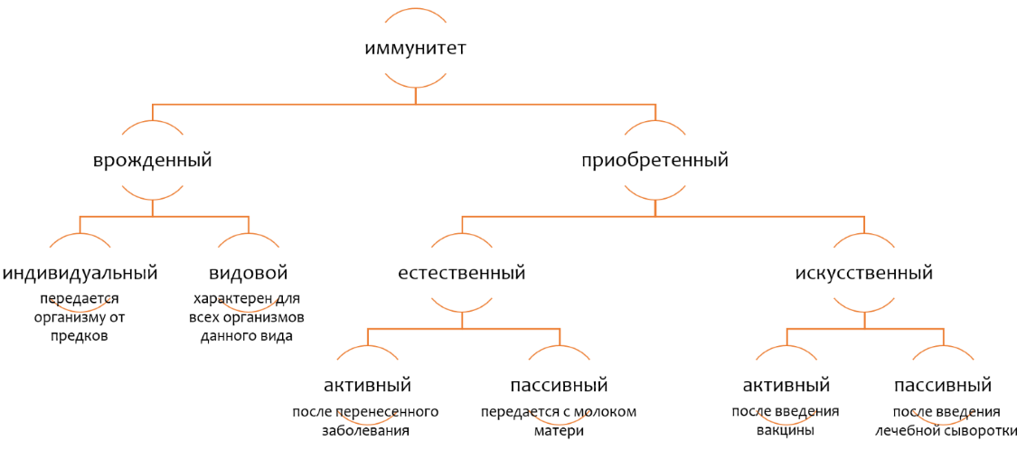 Изображение выглядит как стол Автоматически созданное описание