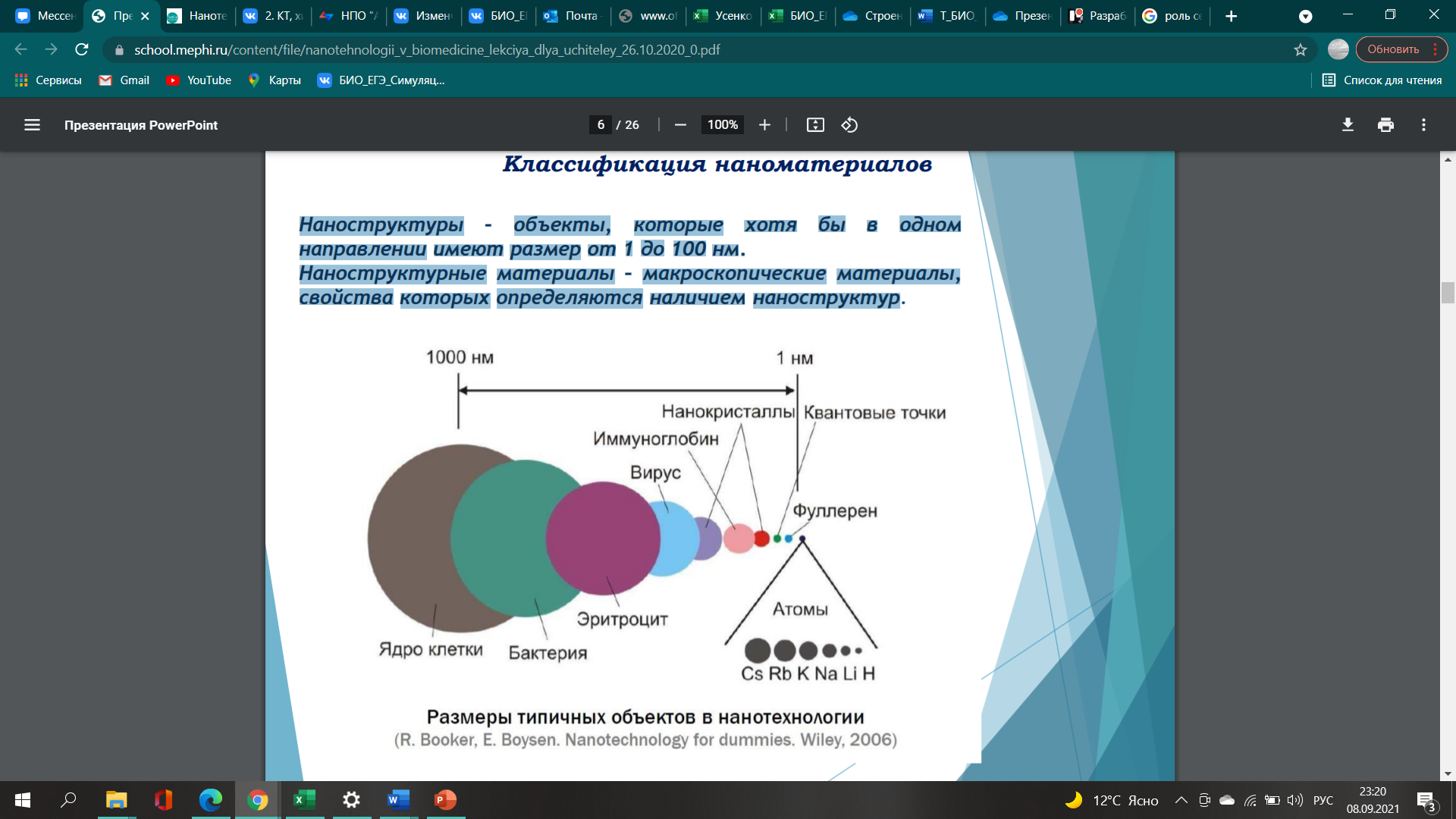 Общее строение клетки, классификация органоидов — что это, определение и  ответ