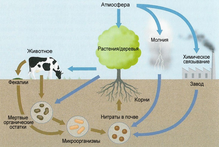 ÐÐ¾ÑÐ¾Ð¶ÐµÐµ Ð¸Ð·Ð¾Ð±ÑÐ°Ð¶ÐµÐ½Ð¸Ðµ