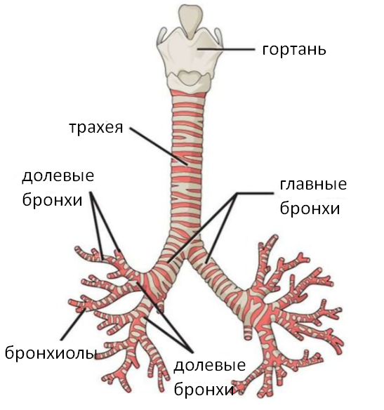 мелкие быстрые займы