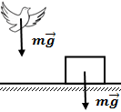 C:\Users\Ирина\Desktop\летняя разработка\действие силы тяжести.png