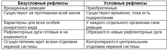 Возрастные особенности условных рефлексов