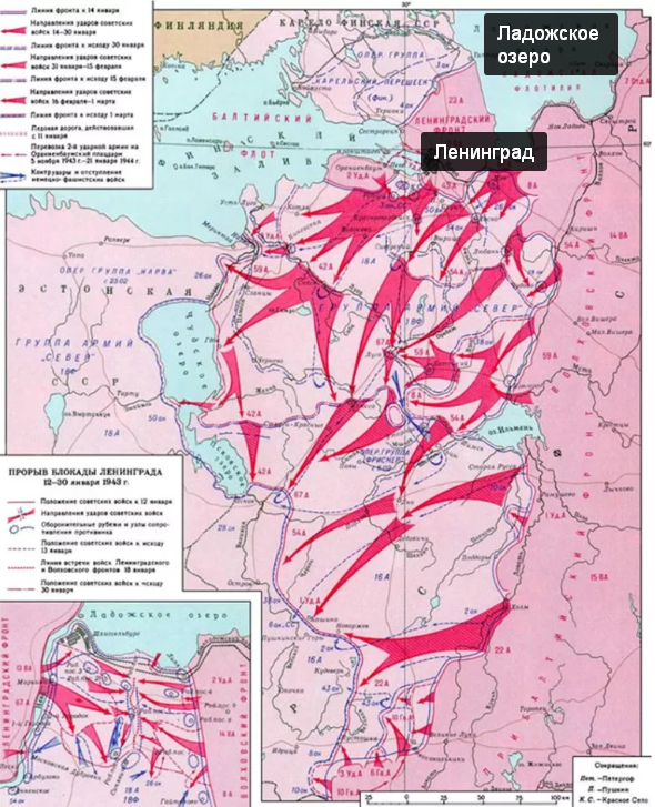 Новый единый учебник истории России для 11 класса - Родина