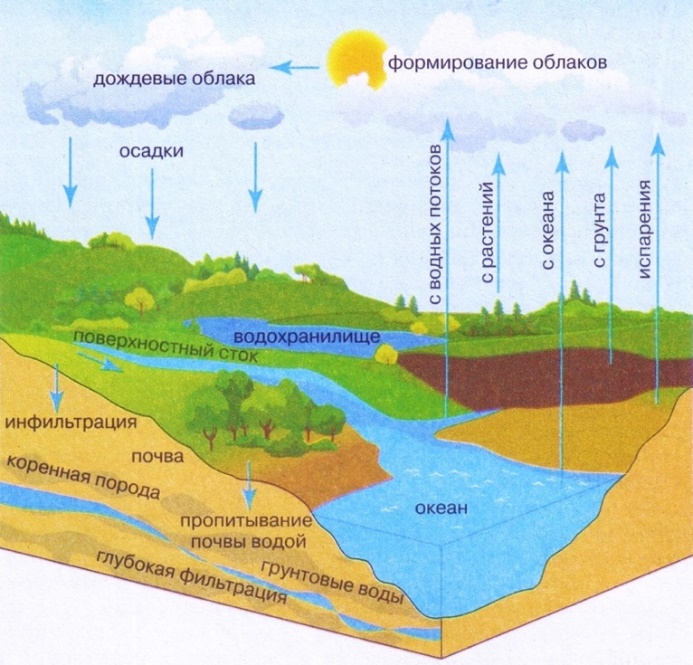 ÐÐ°ÑÑÐ¸Ð½ÐºÐ¸ Ð¿Ð¾ Ð·Ð°Ð¿ÑÐ¾ÑÑ ÐÑÑÐ³Ð¾Ð²Ð¾ÑÐ¾Ñ Ð²Ð¾Ð´Ñ Ð² Ð±Ð¸Ð¾ÑÑÐµÑÐµ