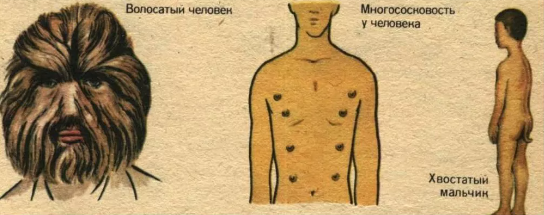 Доказательства атавизмов