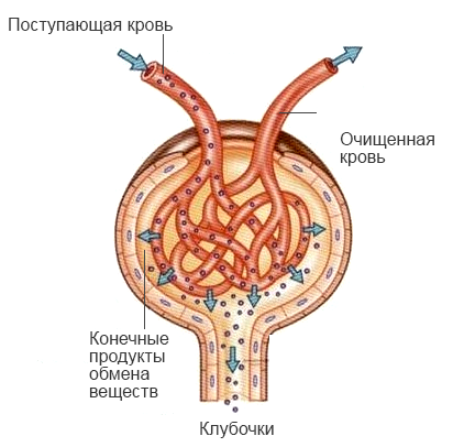 Переключение на внутреннее питание