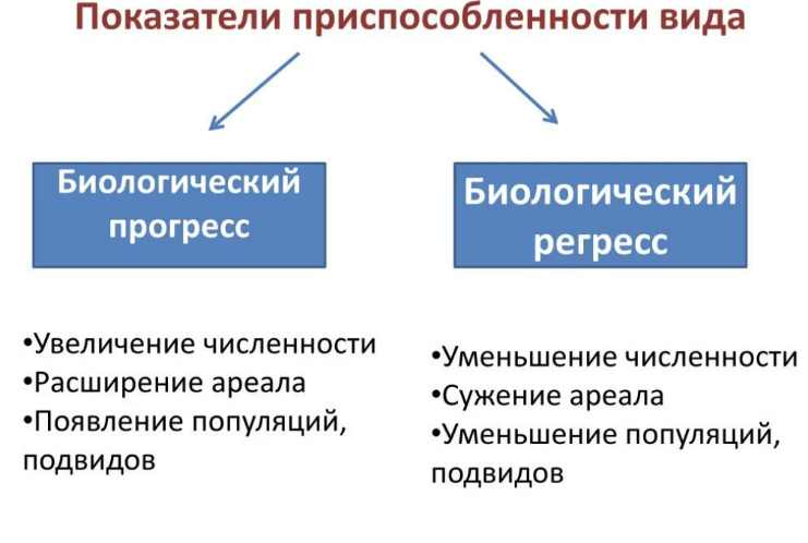 Биологический прогресс и биологический регресс