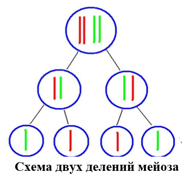 Статьи по теме