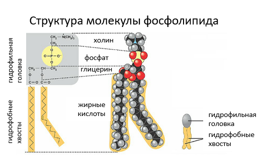 Молекула Escentric - Molecule №1, парфюм отдушка 10 мл