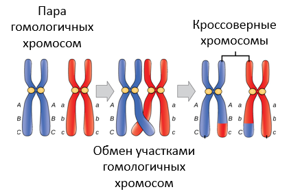 Международный научно-популярный журнал «Мастерство online»®