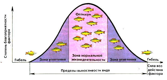 Изображение выглядит как текст, карта Автоматически созданное описание