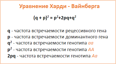 Задачи на закон харди вайнберга