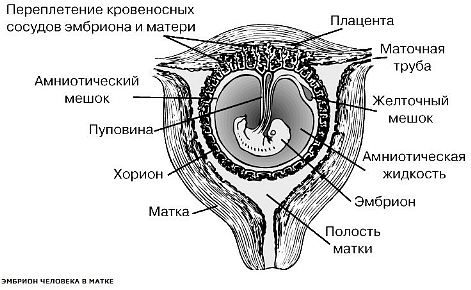 Национальный научный портал Республики Казахстан